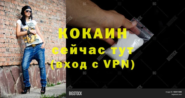 винт Алзамай