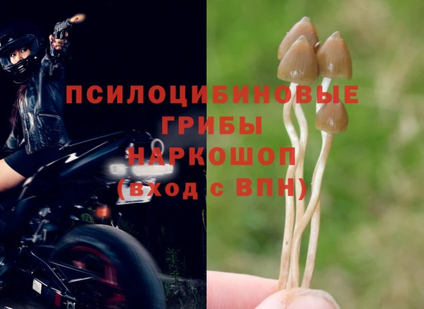 амфетамин Алексеевка