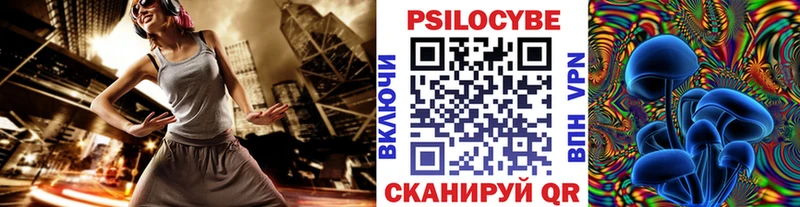 Псилоцибиновые грибы ЛСД  блэк спрут ссылки  Заводоуковск 